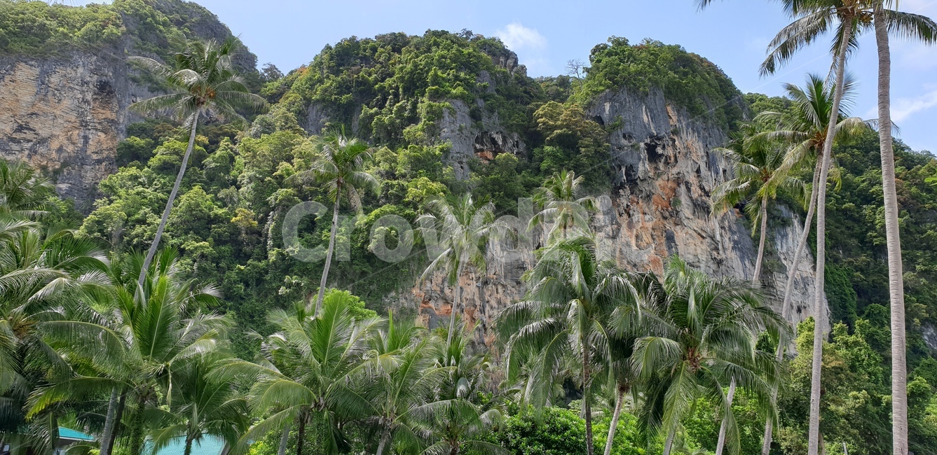 summer,여름,outdoors,옥외,돌산,산,하늘,야자,정글,야자수,나무,자연,풍경,nature,landscape