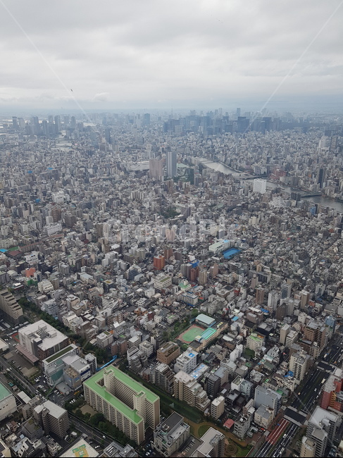 일본,도시,전망대,도쿄,건물,스카이뷰