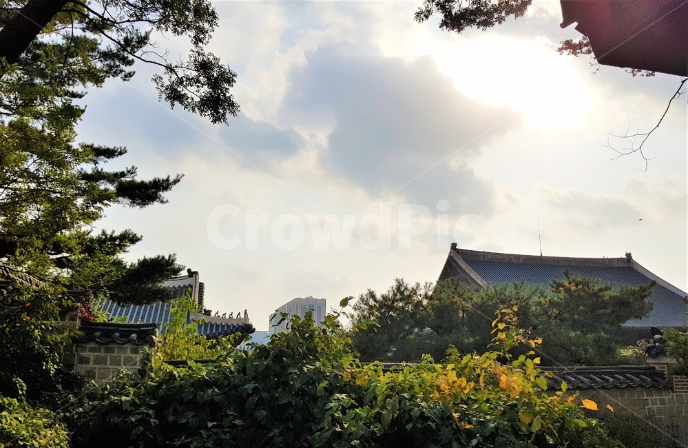 경복궁,고궁,한국전통,한국문화,koreantraditional,koreanculture,랜드마크,landmark,한국랜드마크,touristattraction,한국관광지,한국명소,korealandmark,koreatouristattraction,나무,plant,tree,outdoors,옥외,지붕,roof,기와,하늘,sky