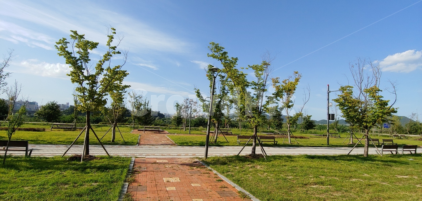 공원,한낮,여유로움,푸르름,가을풍경,자연,풍경,nature,landscape,path,통로,flagstone,판석