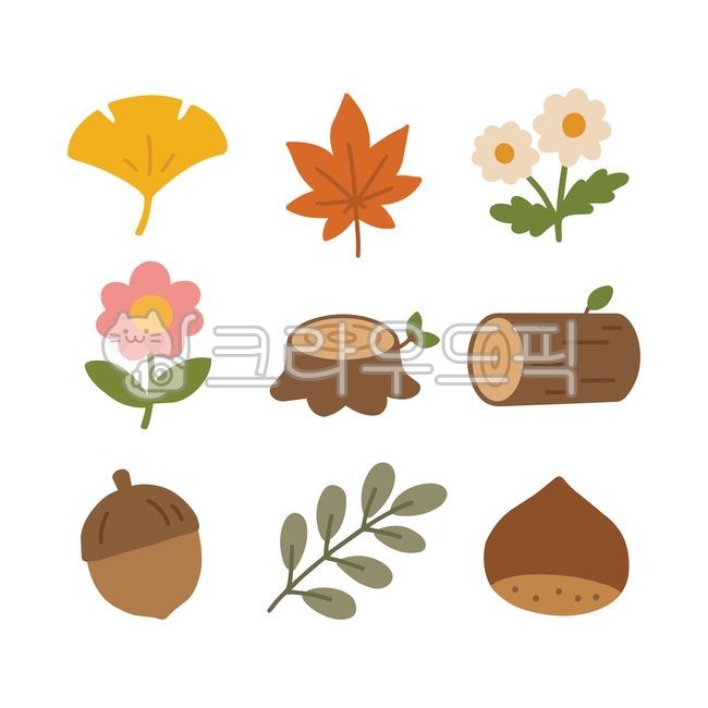 가을,자연,자연물,단풍,단풍잎,은행,은행잎,낙엽,나뭇잎,꽃,들꽃,야생화,나뭇가지,잎사귀,통나무,그루터기,나이테,원목,도토리,참나무열매,밤,알밤,가을열매,견과류,주황색,노란색,갈색,식물