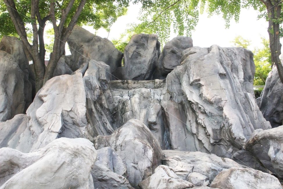돌,나무,풀,자연,야외,공원,정원,자연,풍경,nature,landscape