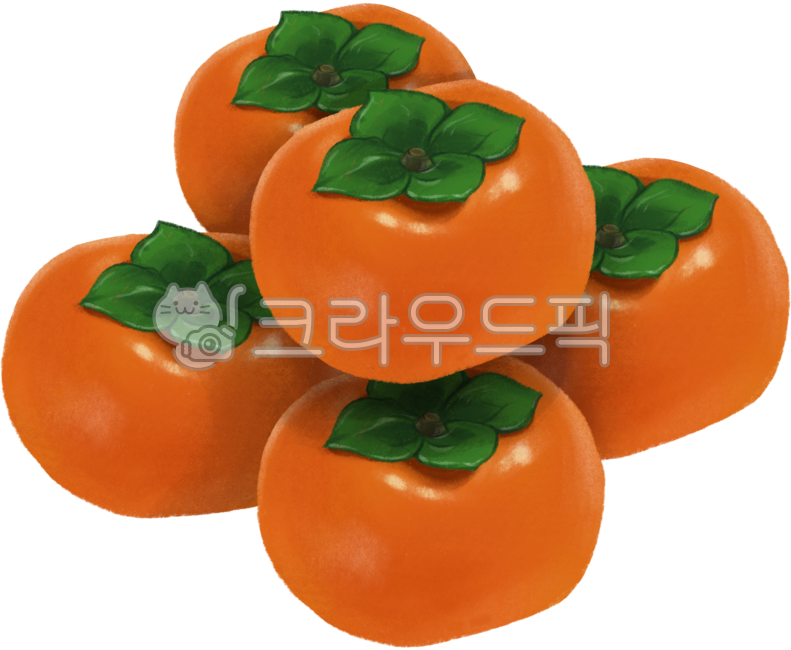 Persimmon,sweet persimmon,red persimmon,fruit illustration,fall,fall fruit,Chuseok,Chuseok fruit,red persimmon illustration