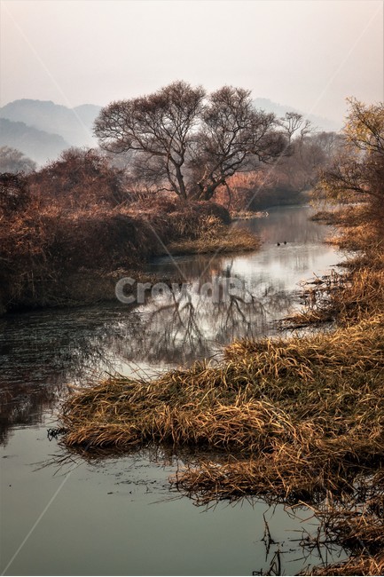 화포천,생태습지,습지,아침,자연,한국자연풍경,한국자연경관,landscape,nature,자연,풍경,nature,landscape,한국자연풍경,한국자연경관,korea nature landscape,outdoors,옥외,land,땅,water,물