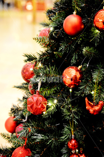 크리스마스,연말연시,트리,파티,크리스마스트리,christmas,겨울,계절,winter,season,기념일,축하,anniversary,congratulation,celebrate,celebration,메리크리스마스,성탄절,merry christmas