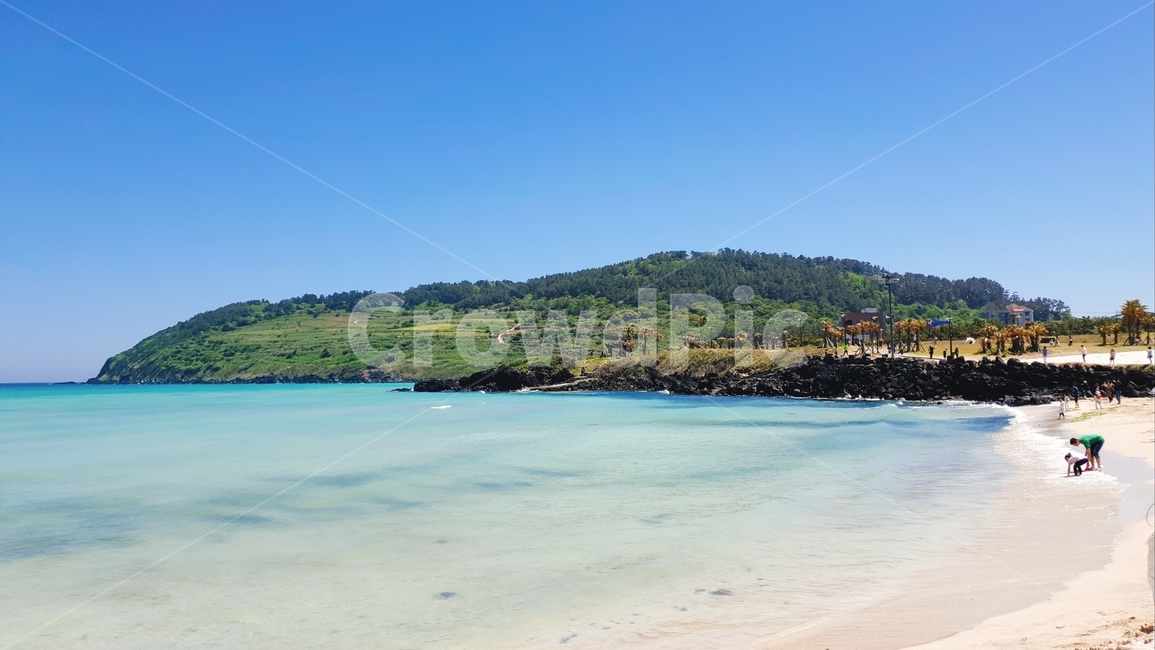제주도,해변,바다,풍경,자연,beach