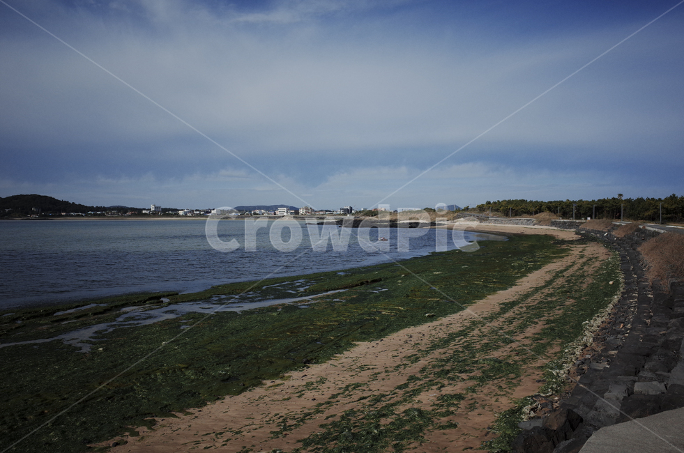 blue,sky,ocean,sea,water,바다,푸른하늘,하늘,푸른바다,shoreline,해안선,자연,green,해초,바다풀,cloud,구름,beach,해변,자연,풍경,nature,landscape