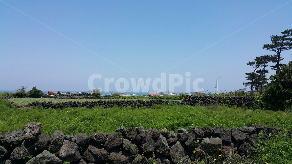 제주도,돌담,하늘,힐링,초록,배경,자연,풍경,nature,landscape,한국자연풍경,한국자연경관,korea nature landscape,제주도,jeju,jeju island,rubble,파편