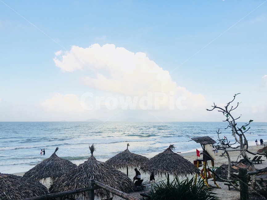 바다,해변,야자수,풍경,자연,구름,하늘,나무,선베드,야자나무,파라솔,모래,beach,sea