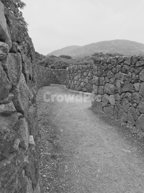 제주도,돌담,미로,여름,오후,제주도,jeju,jeju island,흑백,모노톤,monochrome,black and white,wall,벽,road,도로,dirt road,흙길,gravel,자갈,path,통로
