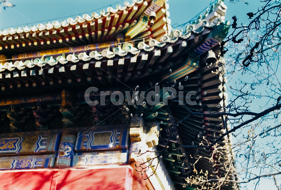 기와,나무,사원,풍경,전통,가옥,봄,꽃,몽우리,tradition,spring,temple,tile,fall,공원,park,scenery,nature,자연,landscape,한옥,중국풍,중국,한국전통,한국문화,korean traditional,korean culture,건축물,건물외관,exterior,building,structure,architecture,construction
