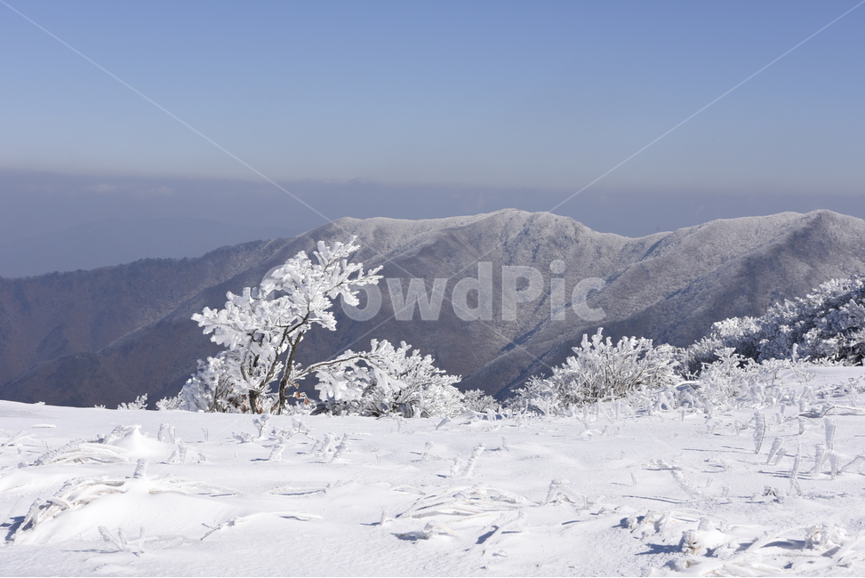소백산,눈꽃,설경,상고대,백두대간,능선,겨울,계절,winter,season,자연,풍경,nature,landscape,한국자연풍경,한국자연경관,korea nature landscape,ice,빙,outdoors,옥외