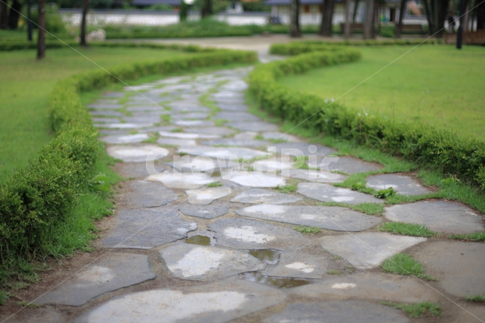강릉,여행,길,봄,trip,road