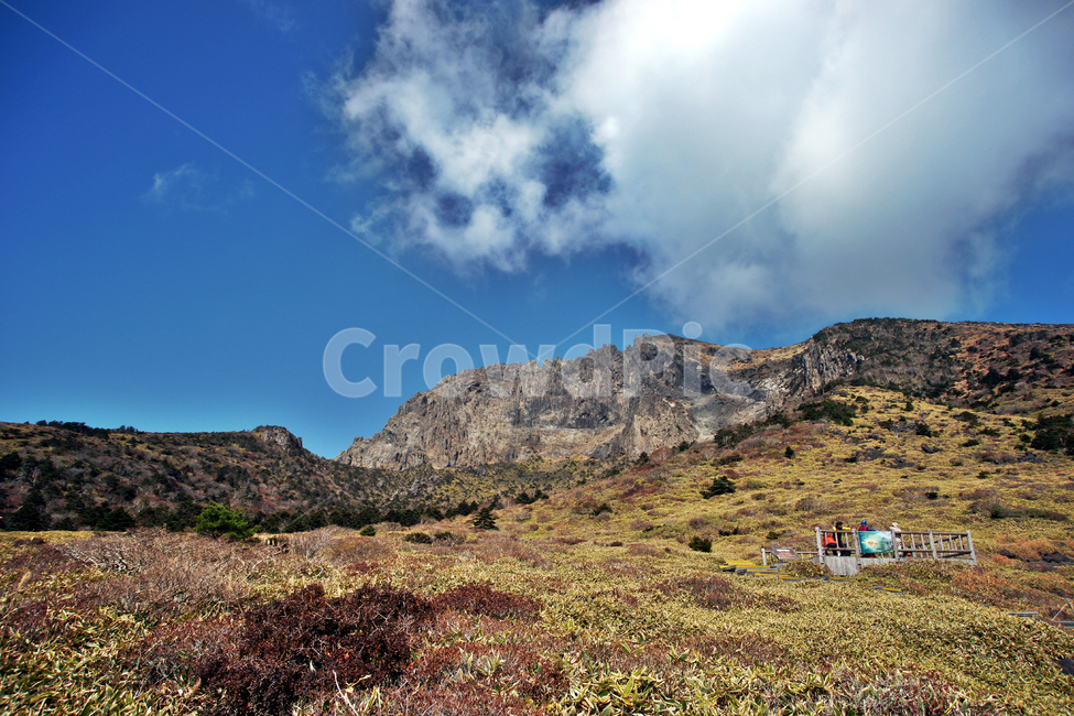 남벽,한라산,제주도,한라산국립공원,돈내코코스,조릿대,관목,푸른하늘,구름,암벽,제주도,jeju,jeju island,nature,자연,outdoors,옥외,plateau,고원