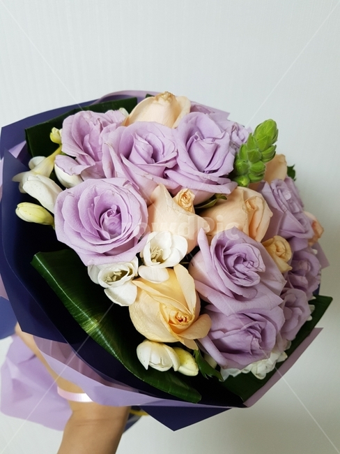 꽃다발,꽃,생화,장미,보라색장미,신혼,꽃,flower,기념일,축하,anniversary,congratulation,celebrate,celebration
