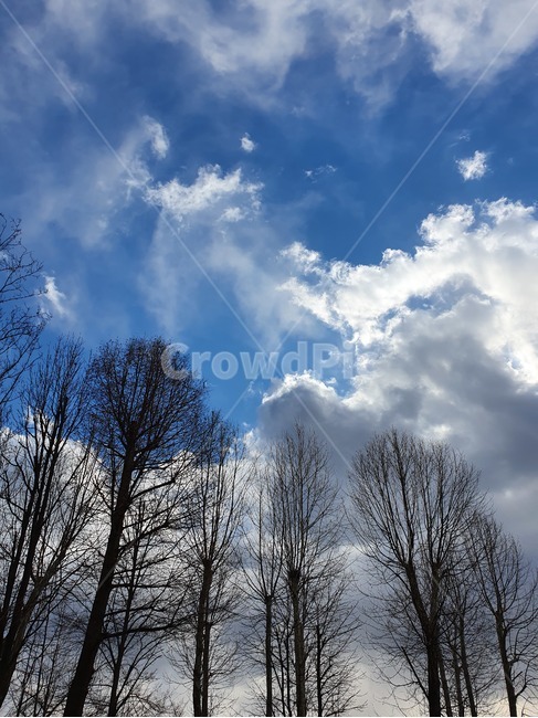 nature,자연,outdoors,weather,날씨,하늘,구름,맑은하늘