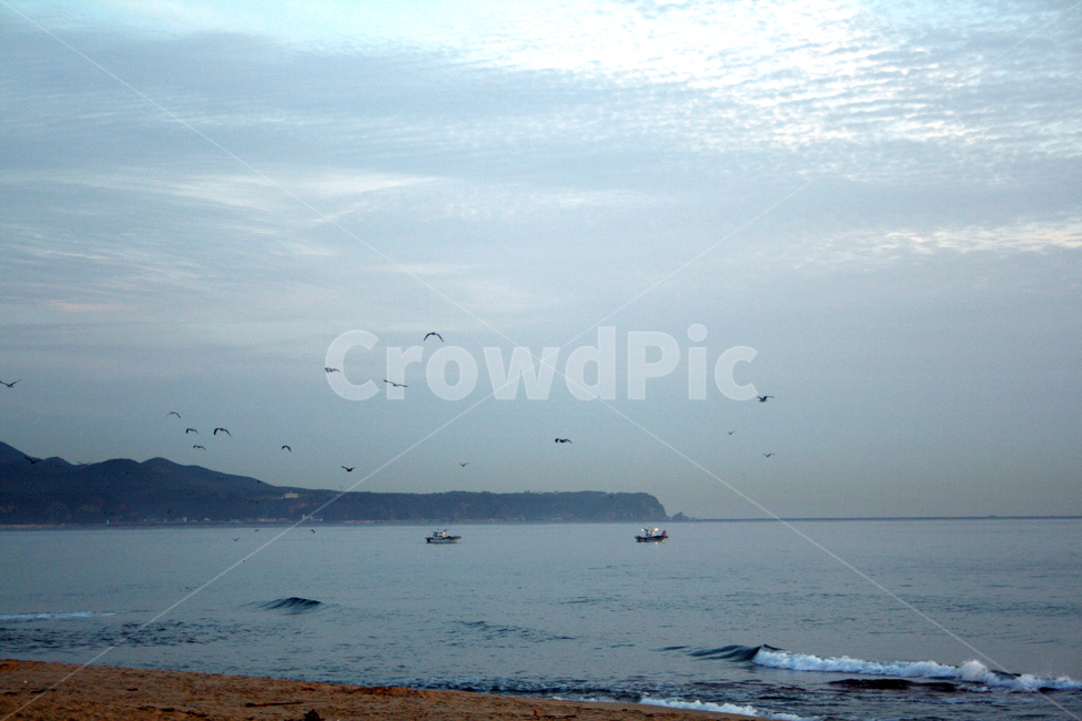 바다,sea,대양,ocean,물,water,해안선,shoreline,레저활동,leisureactivities,나라,land,옥외,outdoors,자연,nature,갈매기,섬,바닷가,해변