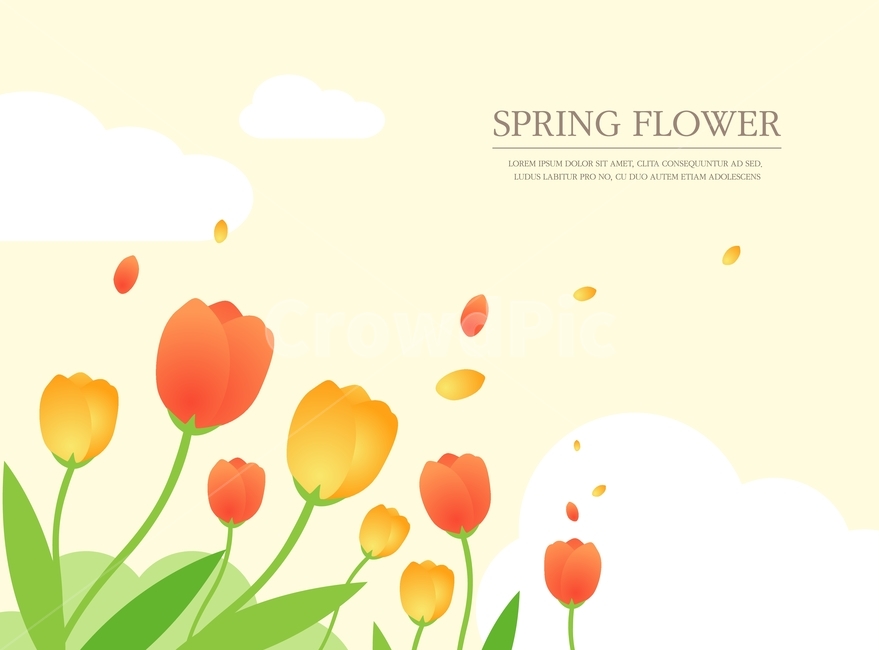 spring,Tulip,background,flower garden,illustration,flower