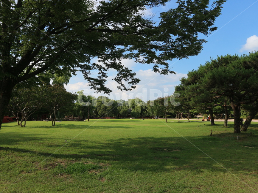 광한루,잔디밭,나무,여름,평화로움