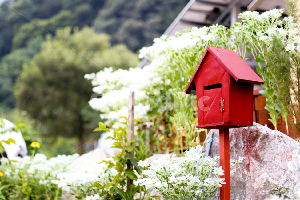 우체통,빨간우체통,시골집,편지,시공풍경,자연,post,letter,letterbox,postbox,red,redpostbox,country,oneshome,고향,사물,물건,오브젝트,thing,object,matter