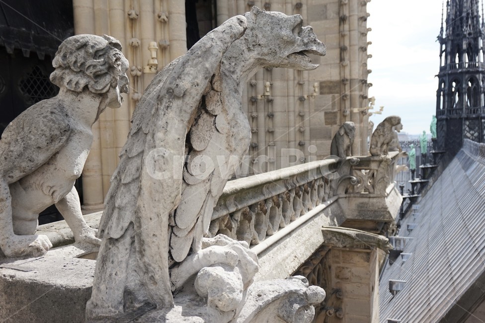 파리,노틀담대성당,가고일상,paris,notredame,gargoyles,해외,외국,세계,foreign,oversea,world,조각상,동상,석상,조형물,statue,bronze statue,stone statue,건축물,건물외관,exterior,building,structure,architecture,construction