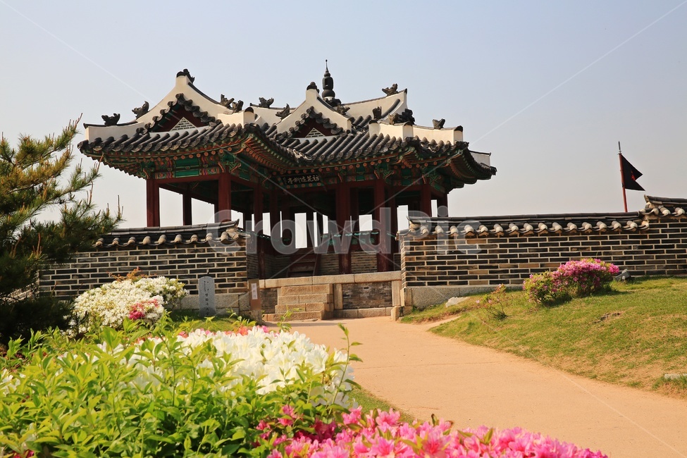 경기,수원,수원화성,성곽,outdoors,옥외,nature,자연,building,건물,성벽,유적지,문화재,한국문화,한국전통,architecture,건축물,철쭉,철쭉꽃,봄,계절
