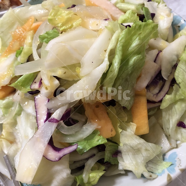 샐러드,양상추,당근,배,양파,소스,salad