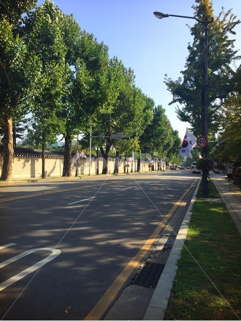 거리,태극기,가로수,도로,공휴일,광화문,도시,풍경,city,landscape,한국도시풍경,한국도시경관,korea cityscape,asphalt,아스팔트,road
