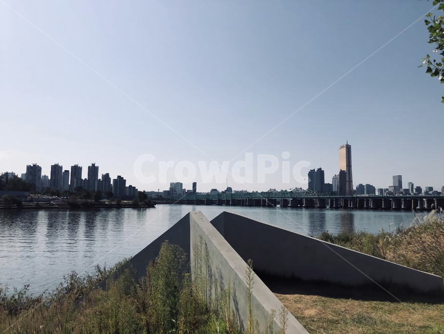 갈대,갈대밭,한강,여의도한강,여의도,하늘,가을,식물,잔디,plant,reed,grass,lawn,river,hangang,hanriver,sky,도시,풍경,city,landscape
