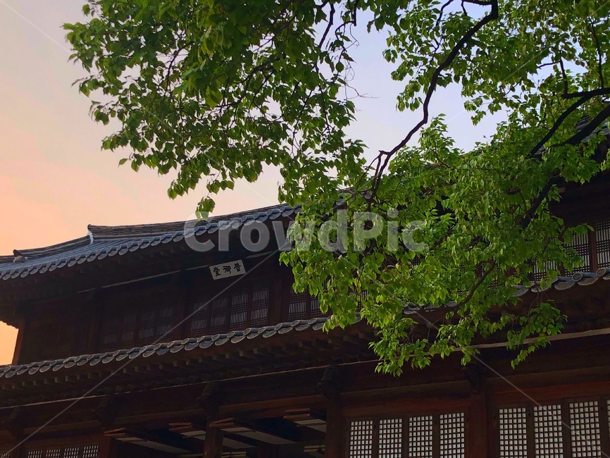 덕수궁,궁,궁궐,노을,한옥,일몰,한국,서울,korea,seoul,landmark,랜드마크,고풍스런,우아한,아름다운,한국적인,전통적