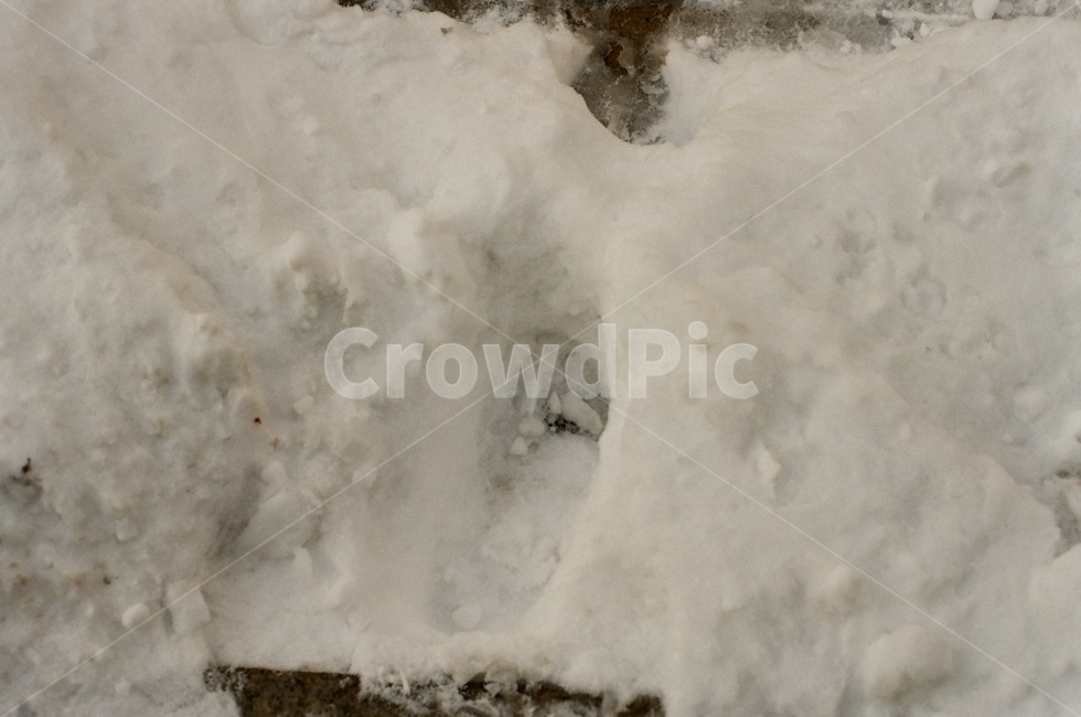 눈,겨울,자연,winter,snow,감성
