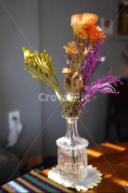 꽃,화분,화병,장미,장미꽃,꽃꽂이,flower,식물,자연,plants,nature,실내용화초,화분,화초,house plant,인테리어,실내디자인,interior design