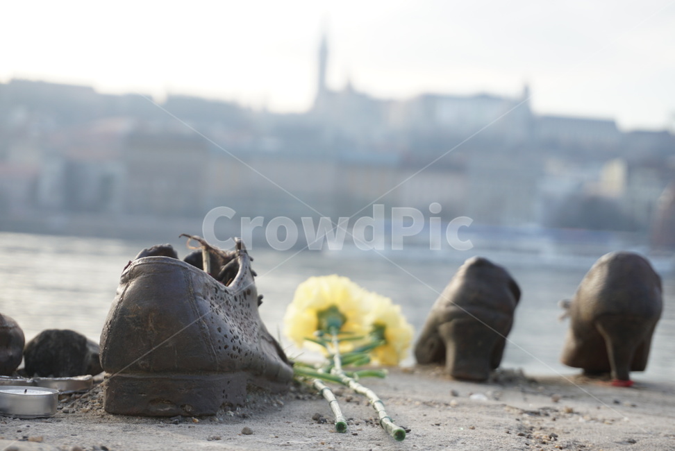 clothing,의류,apparel,의복,구두,신발,꽃,flower,shoes,footwear,추모,쓸쓸함,외로움,기억,추억