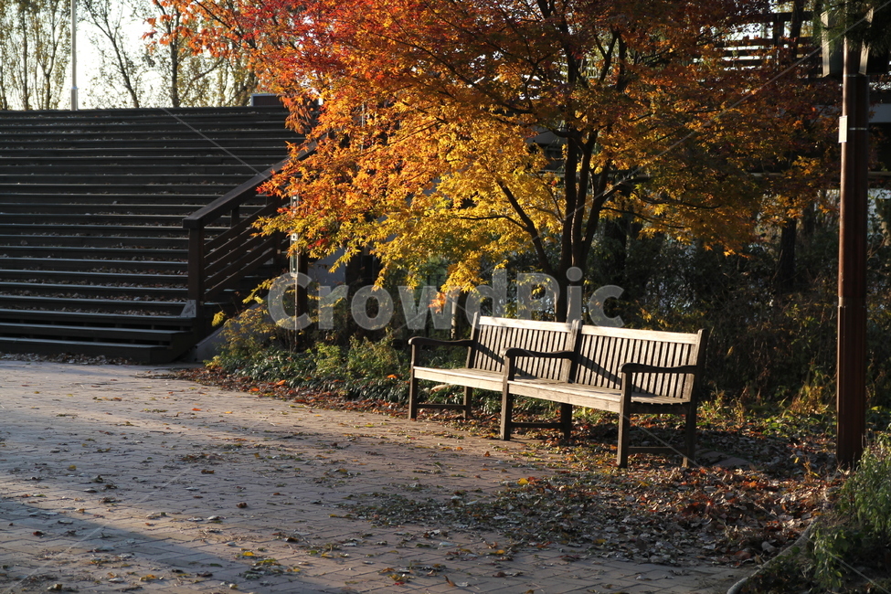 공원,산책,가을,벤치,park,단풍,fall,autumn,bench,가을,계절,fall,autumn,season,furniture,가구