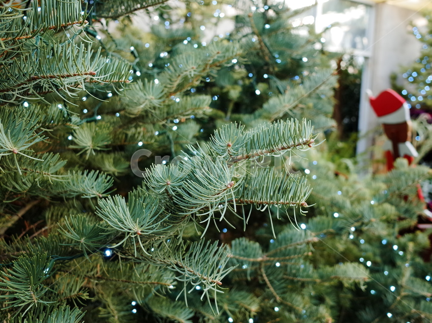 나무,크리스마스트리,장식,christmastree,겨울,크리스마스,christmas,holiday