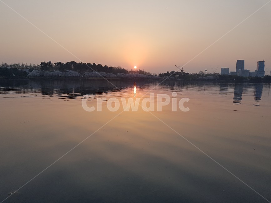 일산호수공원,해넘이,벚꽃,호수,노을,자연,풍경,nature,landscape,outdoors,옥외,dusk,황혼,sunset,일몰,sky,하늘,dawn,새벽,red sky,붉은 하늘