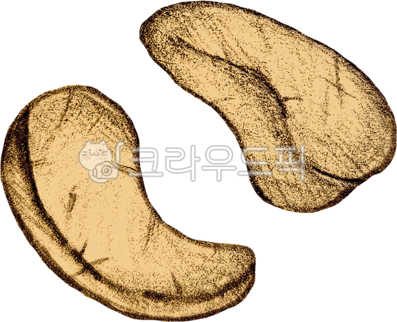 Nuts,nuts,health,slow aging,seeds,nuts,nut,unsaturated fat,unsaturated fatty acid,fat,nuts,omega 3,slow aging diet,oil,snack,longevity,drawing,hand drawing,pencil,sketch,cashew nut