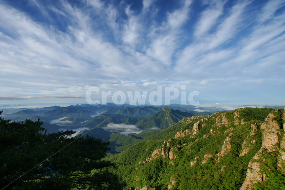 대둔산,운해,신록,구름,안개,소나무,완주군,자연,풍경,nature,landscape,한국자연풍경,한국자연경관,korea nature landscape,outdoors,옥외