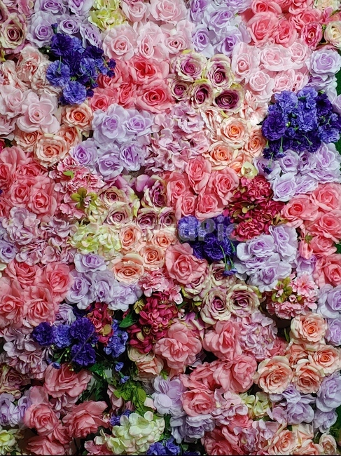 장미꽃,패턴,텍스쳐,장식물,배경,바탕,백그라운드,flowers,rose,background,colorful,칼라풀,화려함,우아함,엘레강스,꽃,조화,decoration,인테리어,카페,분위기,핑크색,분홍색,빨강색,보라색