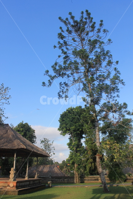 인도네시아,발리,힌두교,힌두,힌두사원,자연,녹색,indonesia,bali,temple,사원,hindu,hinduism,hindutemple,green,sky,blue,bluesky,하늘,파란하늘,푸른하늘,나무,tree