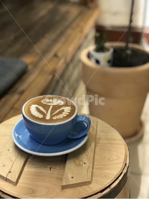 라떼아트,라떼아트꽃,라떼아트장미,장미,커피,카페라떼,커피아트,coffee,latteart,coffeeart,latteartrose,rose,cafelatte,음료수,drink,beverage,커피,카페,coffee,cafe