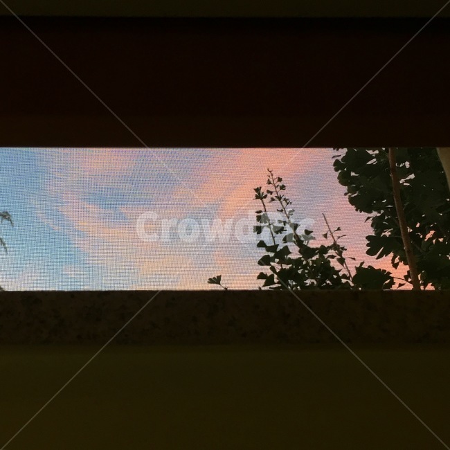 하늘,풍경,sky,나무,경치,tree,sentiment,감성,분위기,구름,cloud,자연,풍경,nature,landscape,home decor,가정 장식