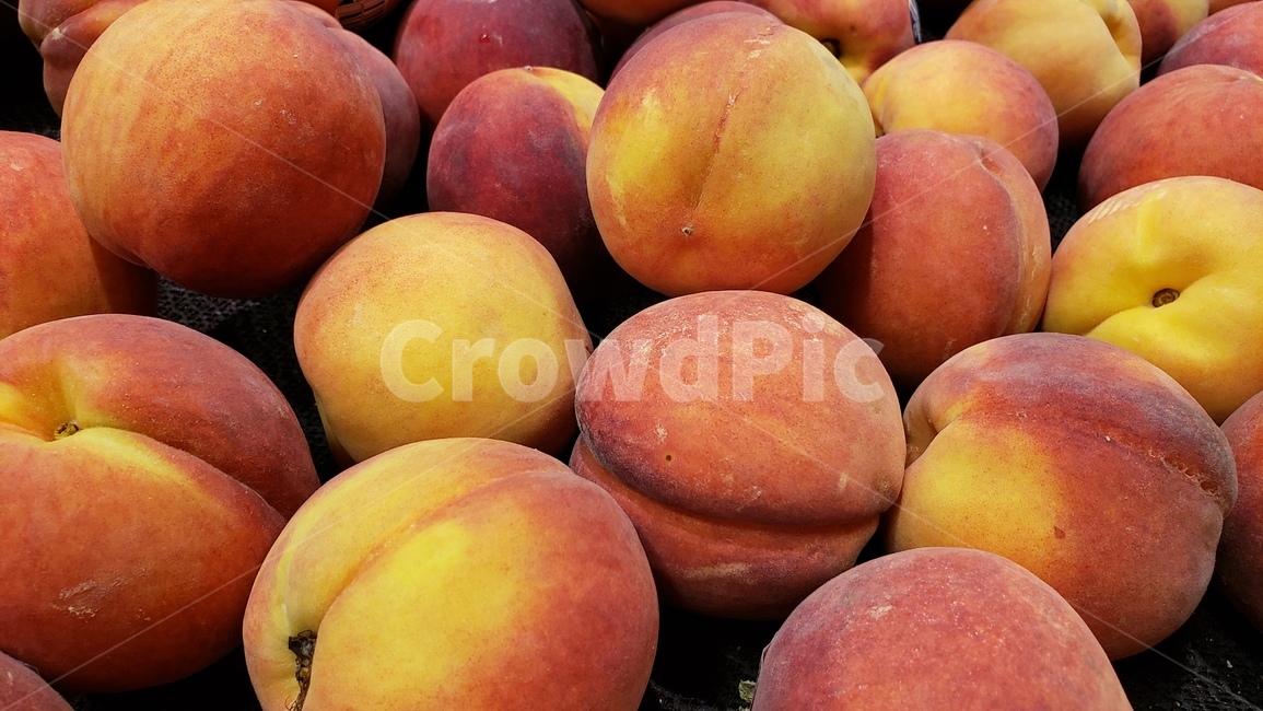복숭아,과일,음식,배경,피치,peach,fruit