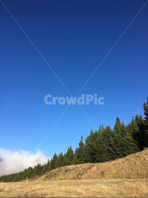 뉴질랜드,하늘,sky,구름,나무,산,cloud,tree,rock