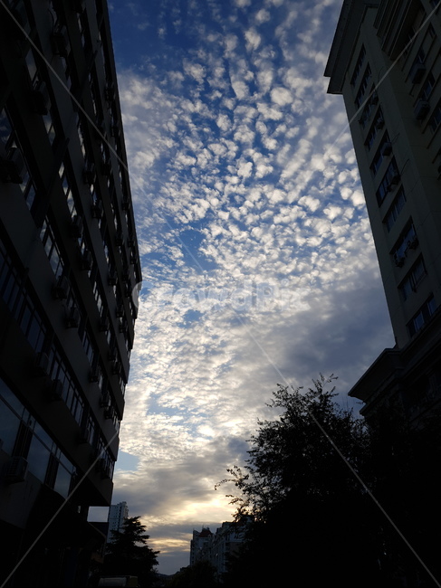 nature,outdoors,옥외,sunlight,햇빛,sky,하늘,자연