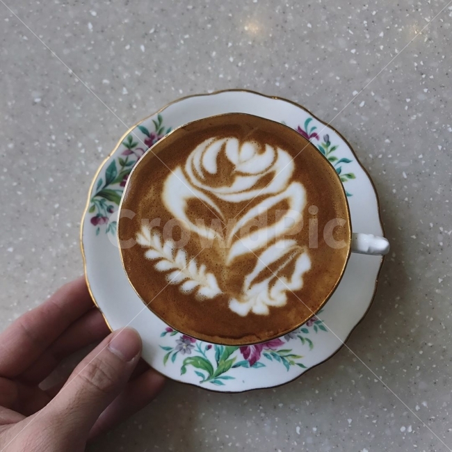 꽃,로즈,장미,카페라떼,플랫화이트,카페,사람,인물,인간,human,person,커피,카페,coffee,cafe