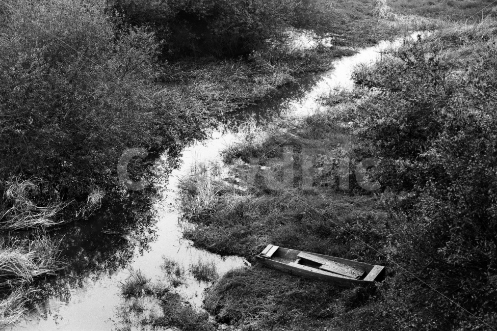 창녕우포늪,우포늪,흑백사진,나룻배,필름사진,자연,풍경,nature,landscape,흑백,모노톤,monochrome,black and white,water,물,outdoors,옥외