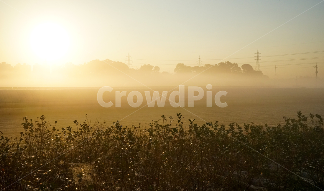 호수,저수지,안개,물안개,풍경,새벽,해,태양,일출,자연,풍경,nature,landscape,light,빛,flare,플레어,sunlight,햇빛,outdoors,옥외