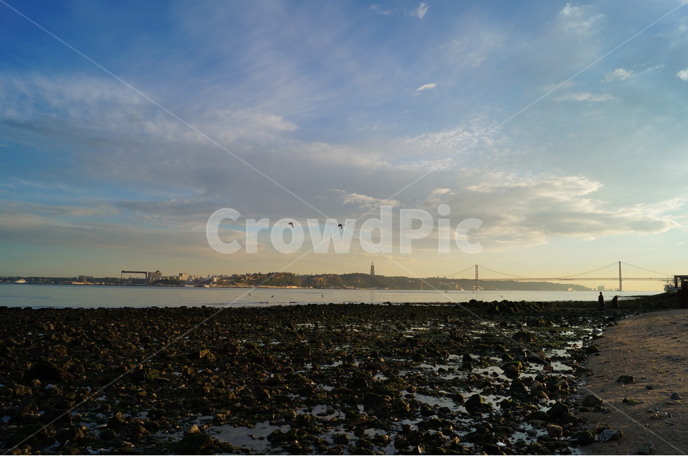 리스본,risbon,europe,유럽,포루투칼,바다,자연,풍경,nature,landscape,경치,outdoors,옥외,scenery,bird,새,animal,동물