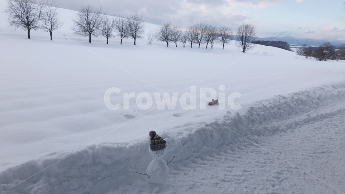 눈사람,눈,겨울,설경,삿포로,스노우맨,winter,snow,white,겨울,계절,winter,season,자연,풍경,nature,landscape,outdoors,옥외